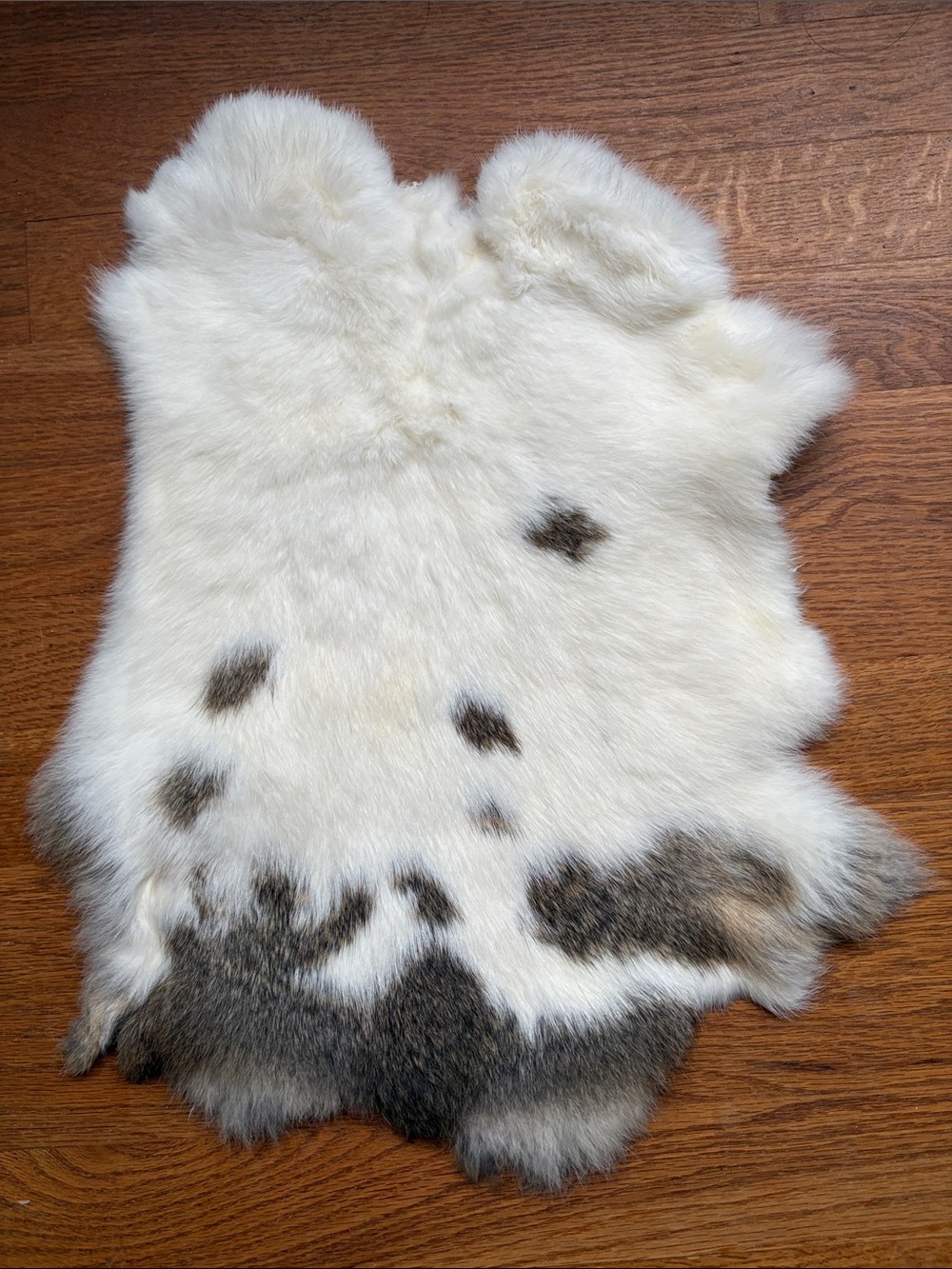 A193 natural rabbit fur pelt craft supply